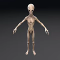 Gray Humanoid Alien Creature 3D Model With Thin Limbs And Large Eyes