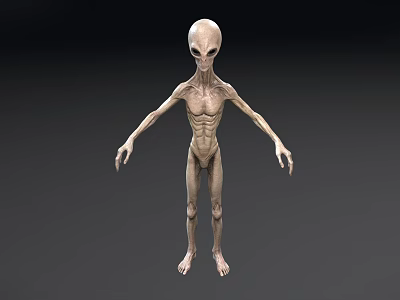 Gray Humanoid Alien Creature 3D Model With Thin Limbs And Large Eyes 3d model
