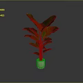 Lush Potted Plant With Large Green Leaves In White Textured Pot Against Gray Background