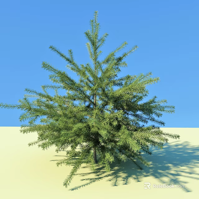 Tall Green Arbor With Lush Foliage On Sandy Ground Under Blue Sky 3d model 