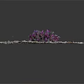 Purple Flowers Growing In Gravel With Green Leaves And Small Stones