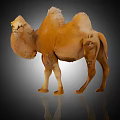 Standing Bactrian Camel Statue With Natural Sand Color And Reflected Shadow