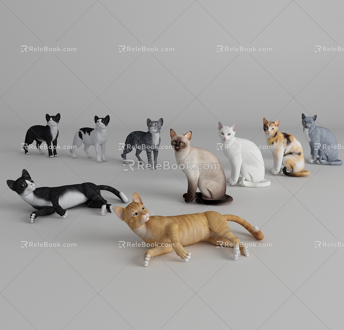 Modern Cat Cat 3d model