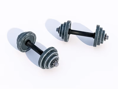Pair of Metal Dumbbells With Weight Plates And Black Handles For Fitness 3d model