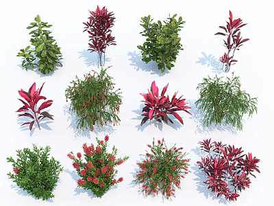 Diverse Colorful Flower And Plant Varieties With Green Foliage Red Blooms 3d model