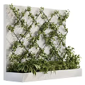Greenery Wall With Lush Plants On Grid Against White Wall 3d model