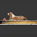 Brown and white Basset Hound lying on circular gear clock pattern mat with colorful toy