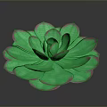 Vibrant Green Succulent Plant With Rosette Shaped Petals And Pink Edges