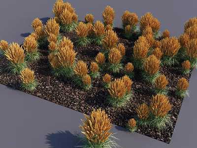 Golden Yellow Flowering Plants with Green Leaves and Dense Growth in Black Soil 3d model