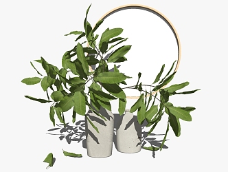 Modern vase decorative plant ornaments 3d model