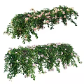 Lush Hanging Vines With Green Leaves And Red Pink Blooms For Garden Decoration