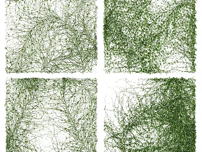 Organic Green Network Structure Featuring Interwoven Lines And Natural Growth Patterns 3d model