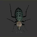Green Spiked Beetle Detailed Closeup With Textured Exoskeleton On Dark Surface