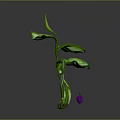 Unique Decorative Plant With Curved Green Stems Lush Leaves and Small Purple Fruits
