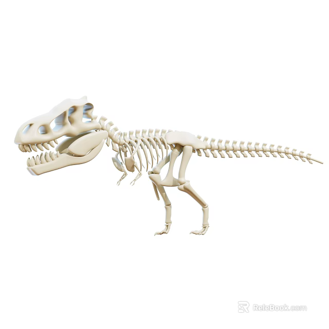 Artistic Realistic Dinosaur Skeleton Decorative Ornament Set For Home Decor 3d model 