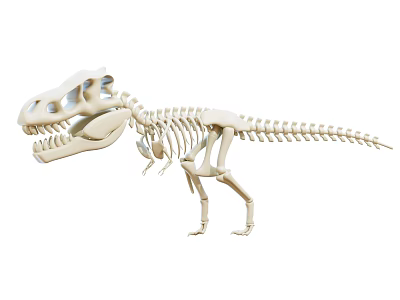 Artistic Realistic Dinosaur Skeleton Decorative Ornament Set For Home Decor 3d model