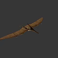 Prehistoric Pterosaur with Elongated Beak Prominent Cranial Crest and Detailed 3D Rendering