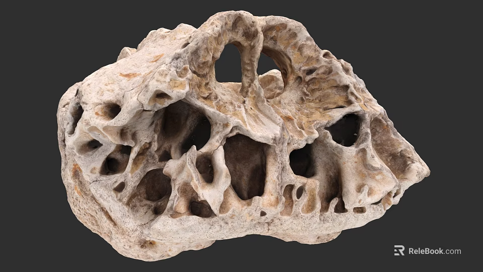 Unique Porous Natural Rock Featuring Intricate Hollow Structures And Irregular Holes 3d model 