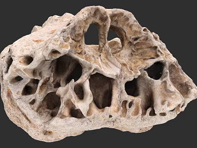 Unique Porous Natural Rock Featuring Intricate Hollow Structures And Irregular Holes 3d model