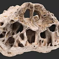 Unique Porous Natural Rock Featuring Intricate Hollow Structures And Irregular Holes