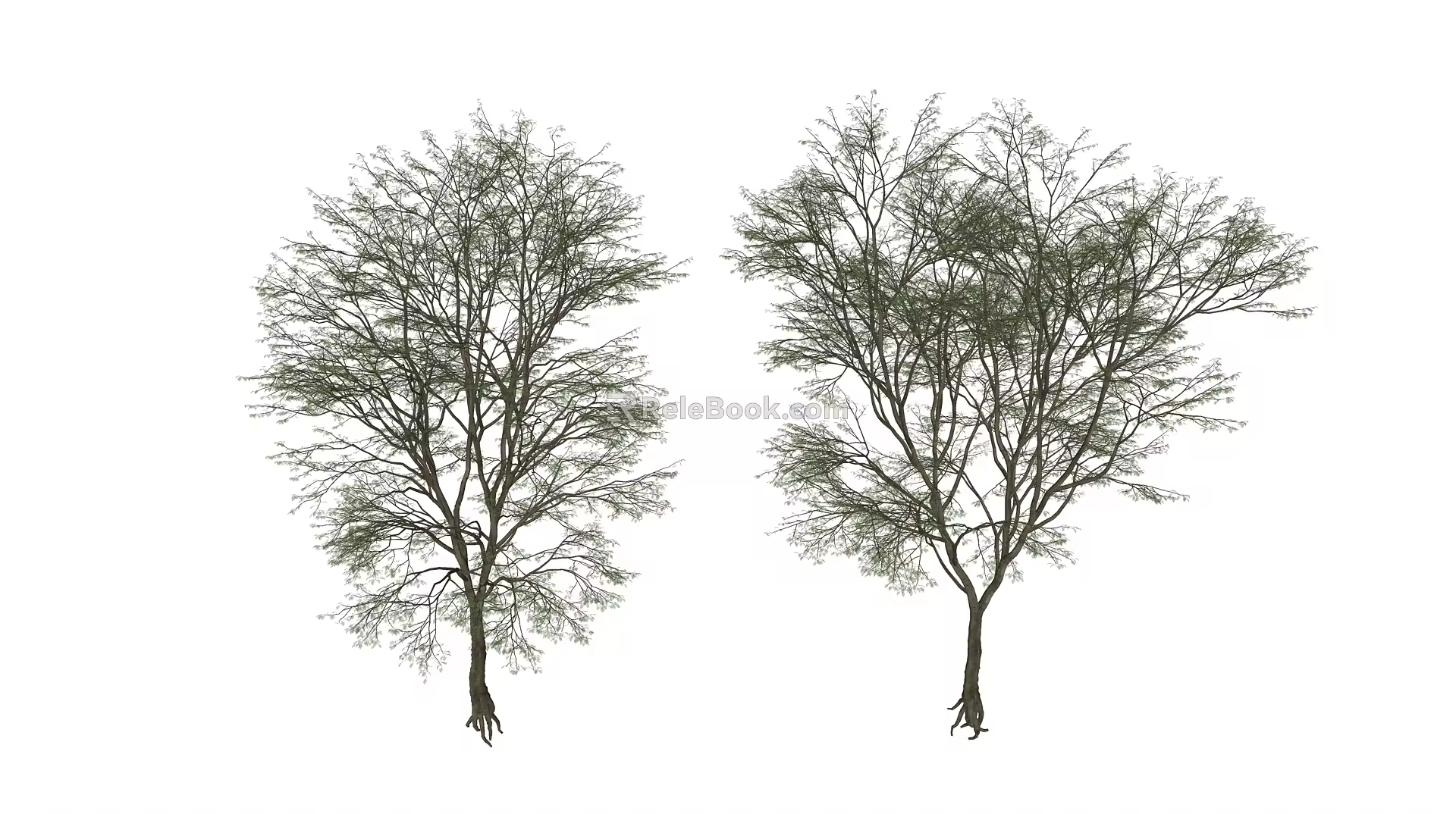 Modern Tree Landscape Tree 3d model