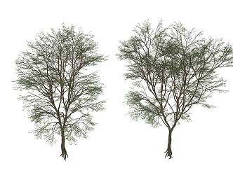 Modern Tree Landscape Tree 3d model