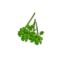 Lush Green Trailing Vine with Cascading Leaves for Home Decor