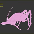 Large Brown Insect with Textured Body Long Antennae and Slender Legs
