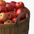 Apple 3d model
