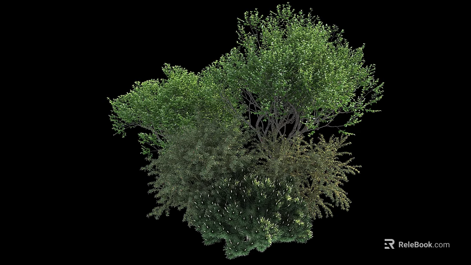 Various Types Of Green Shrubs With Lush Foliage And Diverse Growth Forms 3d model 