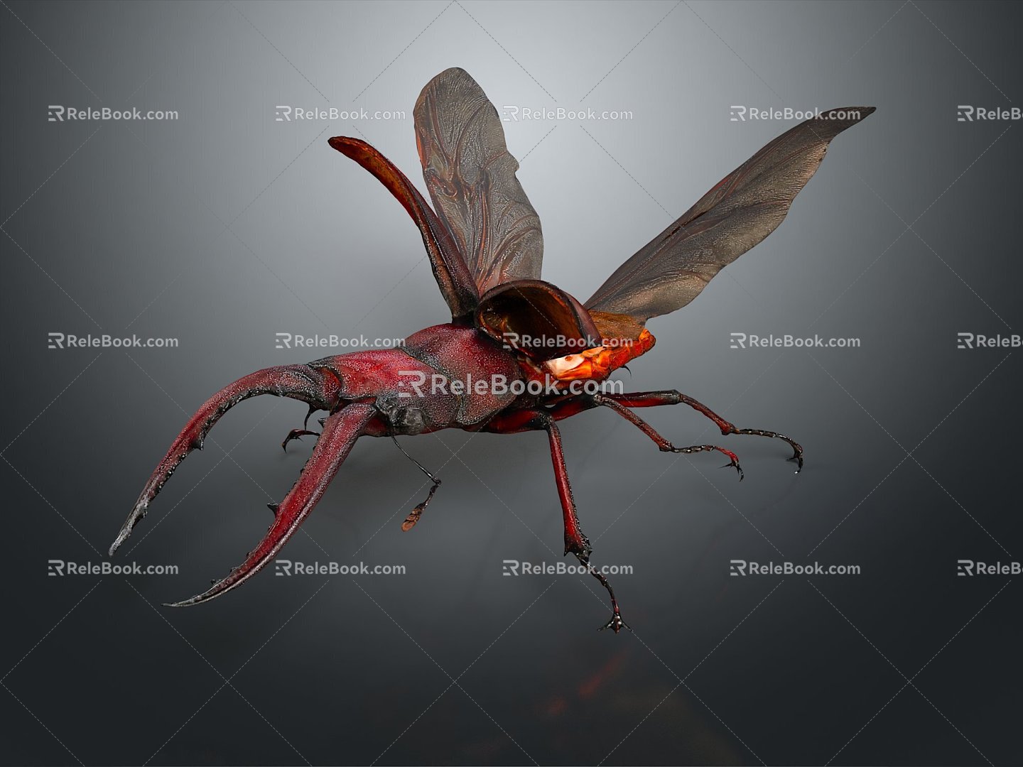 Modern Beetle Beetle Scarab Insect 3d model