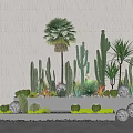Modern Bonsai Potted Plants Display With Cacti Succulents Palm Tree And White Textured Wall