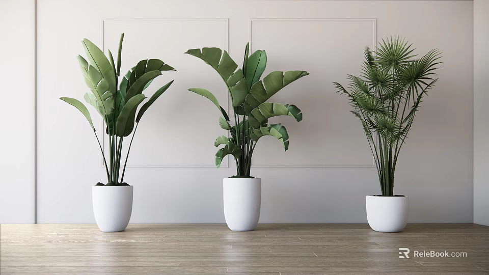 Different Types of Potted Plants in White Pots for Modern Interior Decoration 3d model 