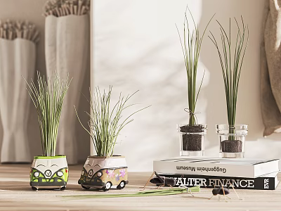 Decorative Bonsai Grass Plants In Colorful Pots On Wooden Table With Books 3d model