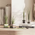 Decorative Bonsai Grass Plants In Colorful Pots On Wooden Table With Books