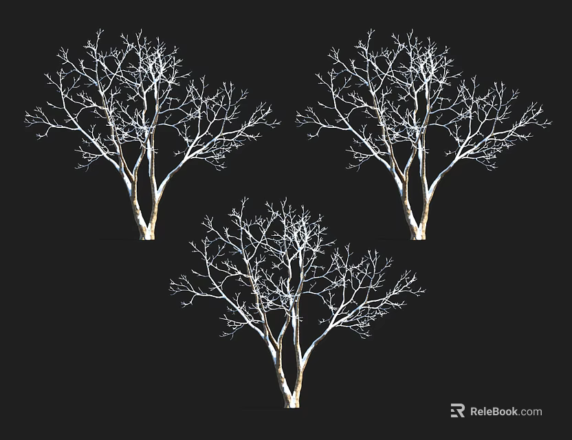 Three Isolated Leafless Trees With Bare Branches On Black Background 3d model 