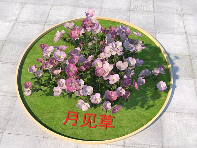Beautiful Circular Flower Bed With Purple And Pink Evening Primrose On Green Grass 3d model
