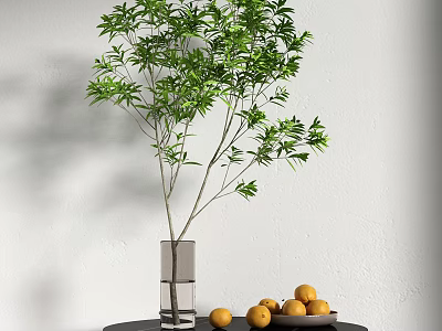 Modern vase plant 3d model