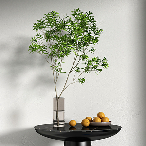 Modern vase plant 3d model