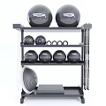 Home Gym Sports Equipment Including Squat Rack Barbell Weight Plates Exercise Balls And Medicine Balls