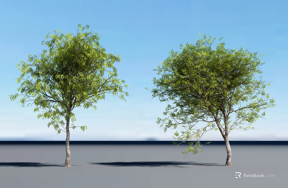 Two Green Leafy Trees Standing Under Clear Blue Sky With Ground Shadows 3d model