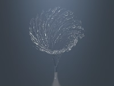 Elegant Transparent Fan Shaped Water Splash Structure On Dark Background 3d model