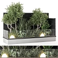 Lush Green Plants And Trees With Glass Railing And Lighting On Black Wall Planter