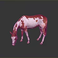 Red and White Horse With Head Down Sniffing On Reflective Gray Ground