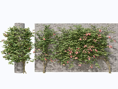 Vines With Pink Flowers On Brick Wall And Column 3d model