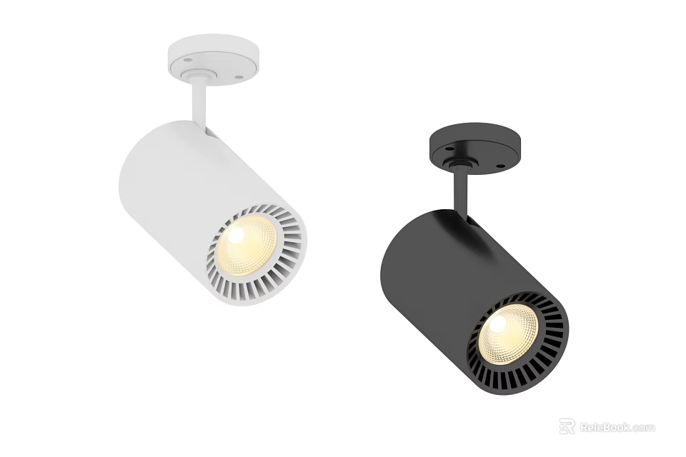 Modern White And Black Ceiling Mounted Downlights And Spotlights With Bright Illumination 3d model 