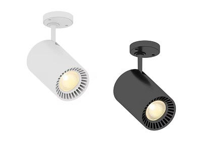 Modern White And Black Ceiling Mounted Downlights And Spotlights With Bright Illumination 3d model