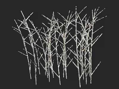 Multiple Leafless Trees With Bare Branches And Slender Trunks On Dark Background 3d model