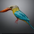 Colorful Kingfisher Bird With Blue Wings Yellow Belly Red Beak And Red Feet