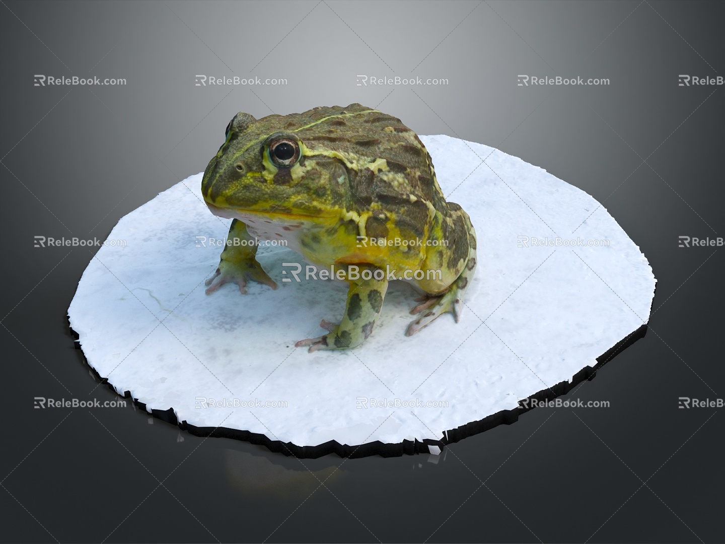 Modern frogs Frogs 3d model